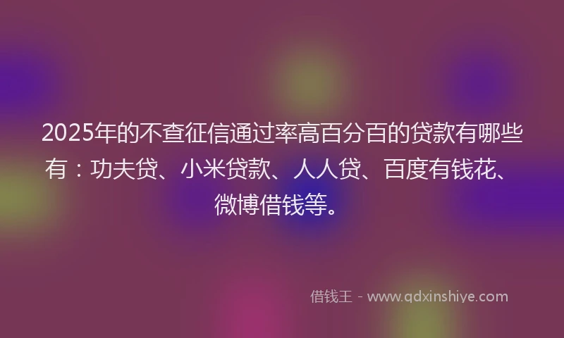 2025年的不查征信通过率高百分百的贷款有哪些有：功夫贷、小米贷款、人人贷、百度有钱花、微博借钱等。