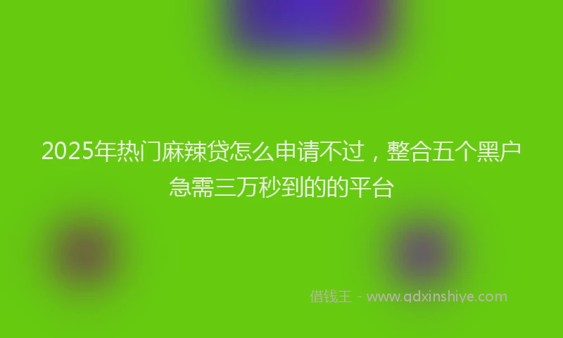 2025年热门麻辣贷怎么申请不过，整合五个黑户急需三万秒到的的平台