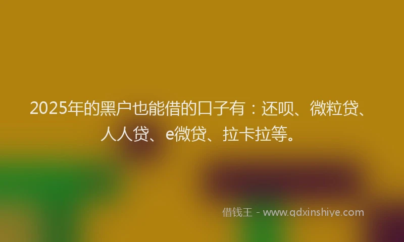 2025年的黑户也能借的口子有：还呗、微粒贷、人人贷、e微贷、拉卡拉等。