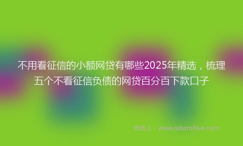 不用看征信的小额网贷有哪些2025年精选，梳理五个不看征信负债的网贷百分百下款口子