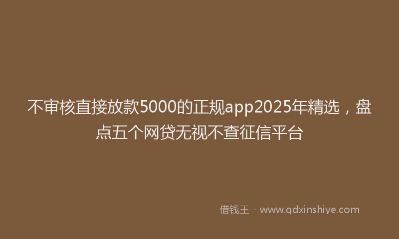 不审核直接放款5000的正规app2025年精选，盘点五个网贷无视不查征信平台