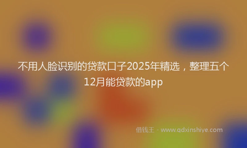 不用人脸识别的贷款口子2025年精选，整理五个12月能贷款的app