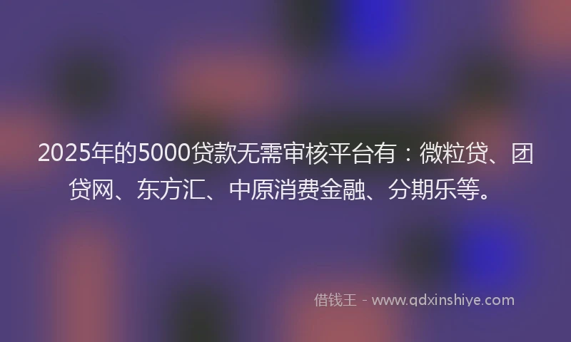 2025年的5000贷款无需审核平台有：微粒贷、团贷网、东方汇、中原消费金融、分期乐等。