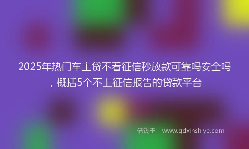 2025年热门车主贷不看征信秒放款可靠吗安全吗，概括5个不上征信报告的贷款平台