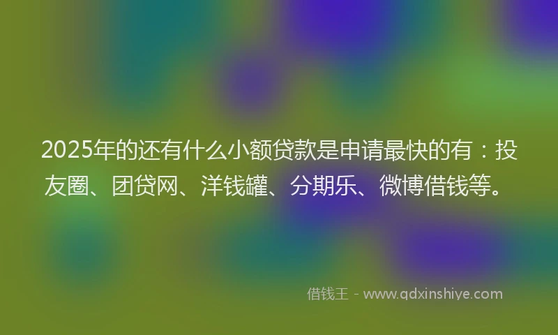 2025年的还有什么小额贷款是申请最快的有：投友圈、团贷网、洋钱罐、分期乐、微博借钱等。