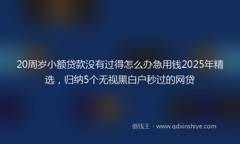 20周岁小额贷款没有过得怎么办急用钱2025年精选，归纳5个无视黑白户秒过的网贷