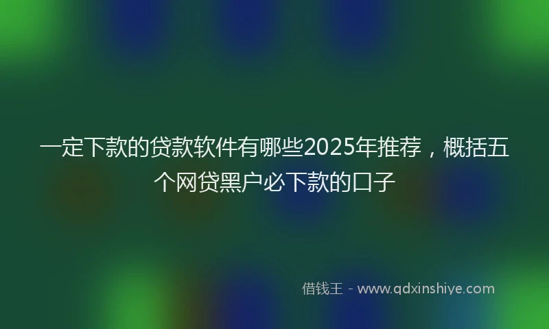 一定下款的贷款软件有哪些2025年推荐，概括五个网贷黑户必下款的口子