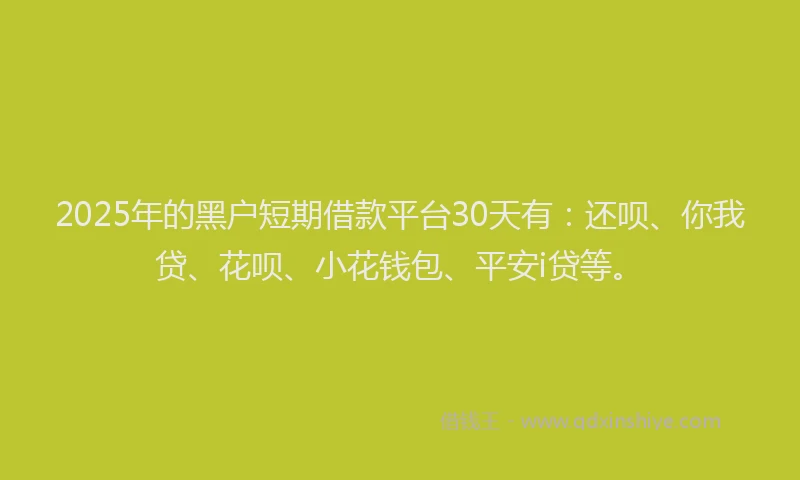 2025年的黑户短期借款平台30天有：还呗、你我贷、花呗、小花钱包、平安i贷等。