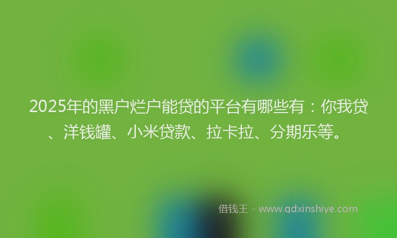 2025年的黑户烂户能贷的平台有哪些有：你我贷、洋钱罐、小米贷款、拉卡拉、分期乐等。