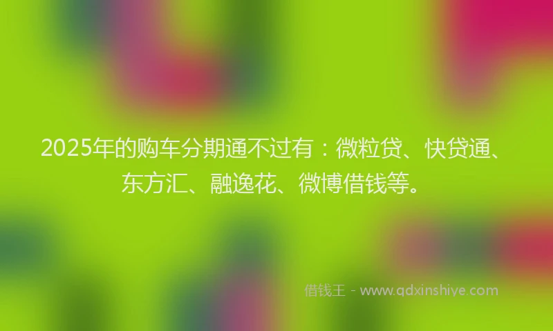 2025年的购车分期通不过有：微粒贷、快贷通、东方汇、融逸花、微博借钱等。