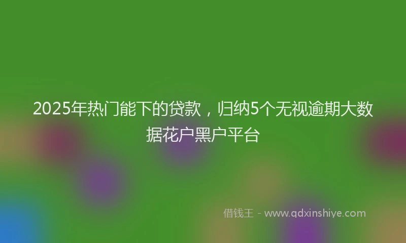 2025年热门能下的贷款，归纳5个无视逾期大数据花户黑户平台