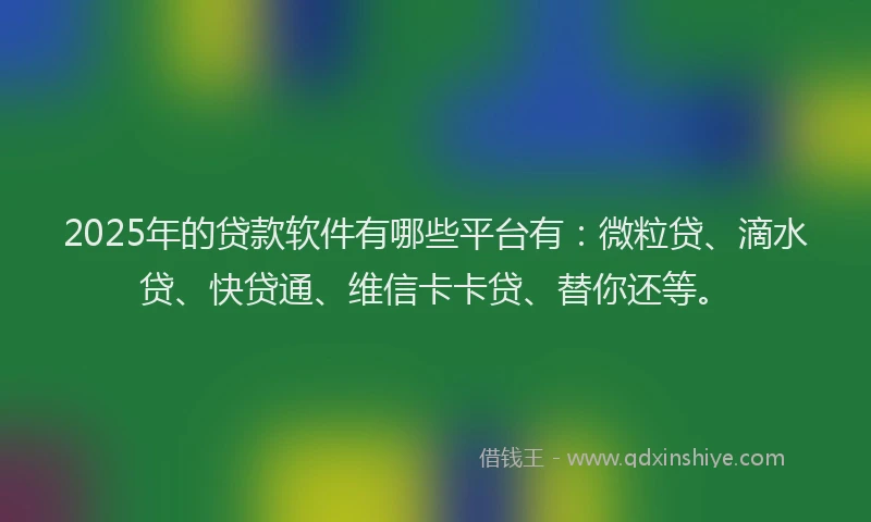 2025年的贷款软件有哪些平台有：微粒贷、滴水贷、快贷通、维信卡卡贷、替你还等。