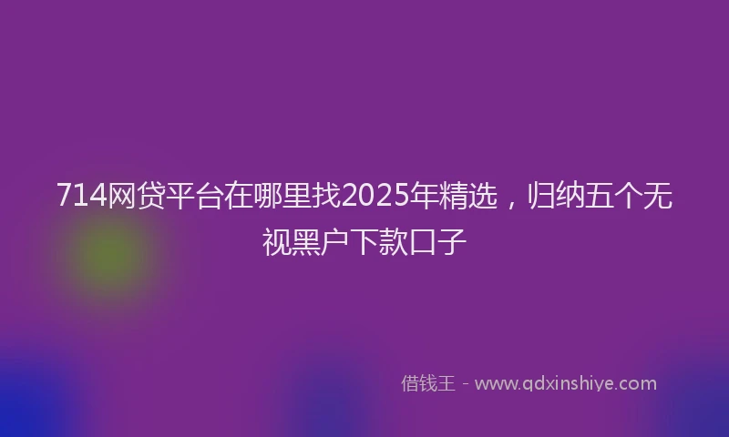 714网贷平台在哪里找2025年精选，归纳五个无视黑户下款口子