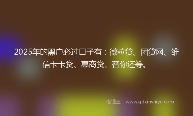 2025年的黑户必过口子有：微粒贷、团贷网、维信卡卡贷、惠商贷、替你还等。