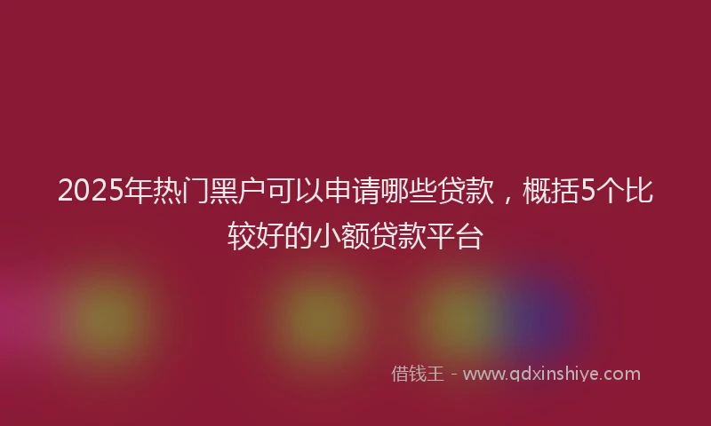 2025年热门黑户可以申请哪些贷款，概括5个比较好的小额贷款平台