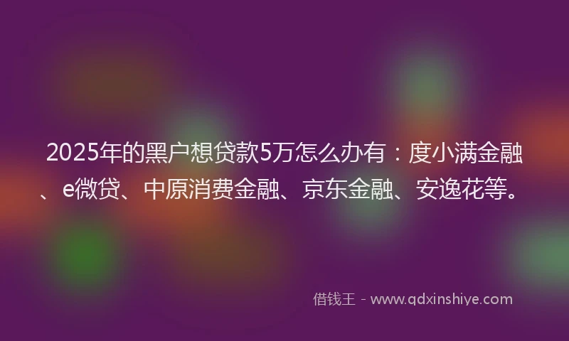 2025年的黑户想贷款5万怎么办有：度小满金融、e微贷、中原消费金融、京东金融、安逸花等。