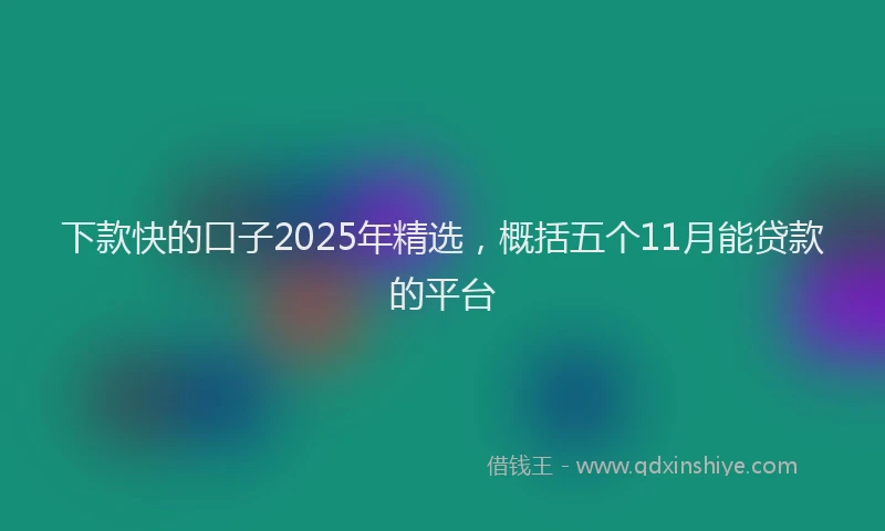 下款快的口子2025年精选，概括五个11月能贷款的平台