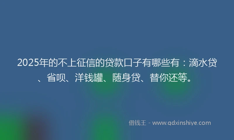 2025年的不上征信的贷款口子有哪些有：滴水贷、省呗、洋钱罐、随身贷、替你还等。