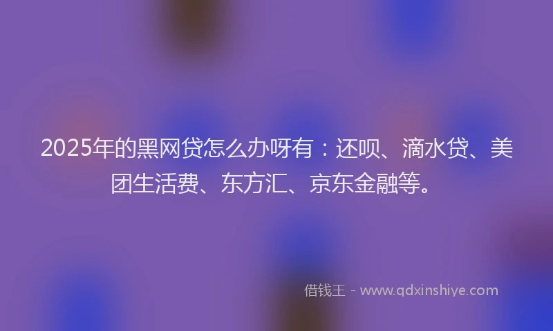 2025年的黑网贷怎么办呀有：还呗、滴水贷、美团生活费、东方汇、京东金融等。