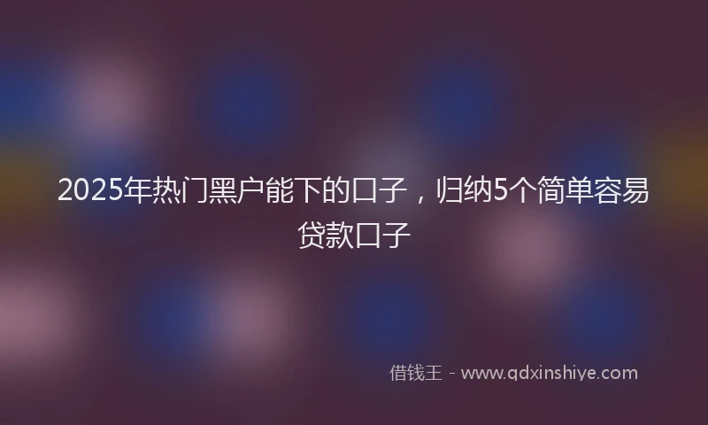2025年热门黑户能下的口子，归纳5个简单容易贷款口子