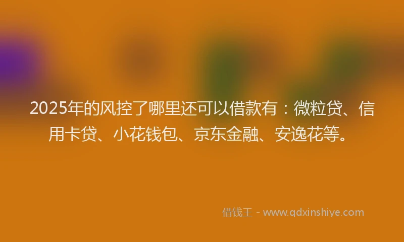 2025年的风控了哪里还可以借款有：微粒贷、信用卡贷、小花钱包、京东金融、安逸花等。
