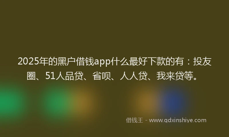 2025年的黑户借钱app什么最好下款的有：投友圈、51人品贷、省呗、人人贷、我来贷等。