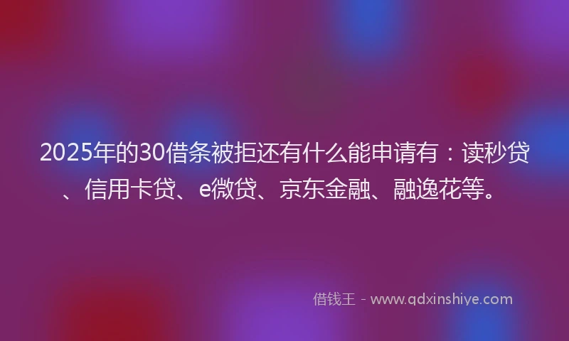 2025年的30借条被拒还有什么能申请有：读秒贷、信用卡贷、e微贷、京东金融、融逸花等。