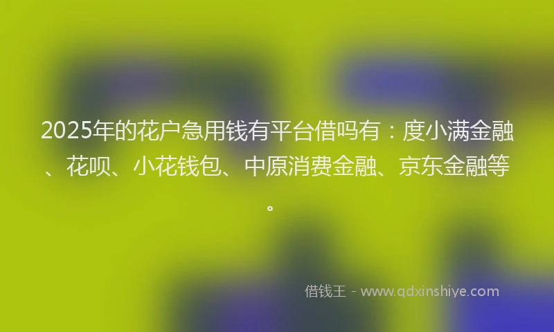 2025年的花户急用钱有平台借吗有：度小满金融、花呗、小花钱包、中原消费金融、京东金融等。
