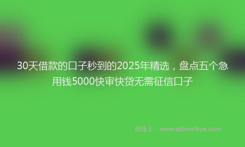 30天借款的口子秒到的2025年精选，盘点五个急用钱5000快审快贷无需征信口子