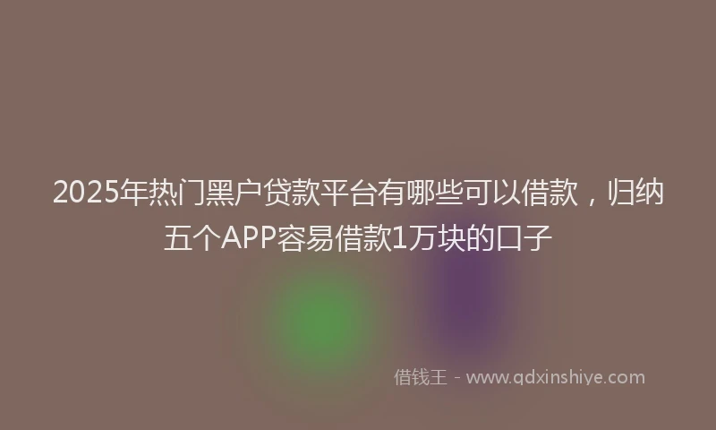 2025年热门黑户贷款平台有哪些可以借款，归纳五个APP容易借款1万块的口子