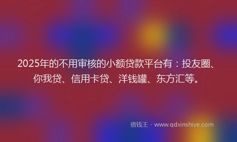 2025年的不用审核的小额贷款平台有：投友圈、你我贷、信用卡贷、洋钱罐、东方汇等。