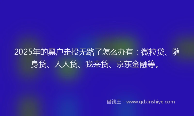 2025年的黑户走投无路了怎么办有：微粒贷、随身贷、人人贷、我来贷、京东金融等。