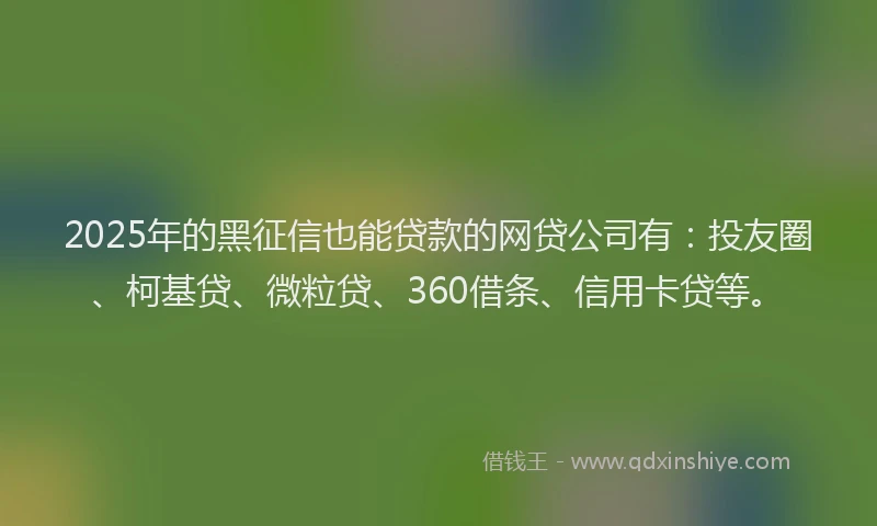 2025年的黑征信也能贷款的网贷公司有：投友圈、柯基贷、微粒贷、360借条、信用卡贷等。