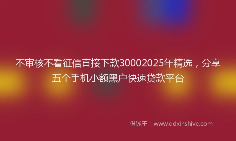 不审核不看征信直接下款30002025年精选，分享五个手机小额黑户快速贷款平台