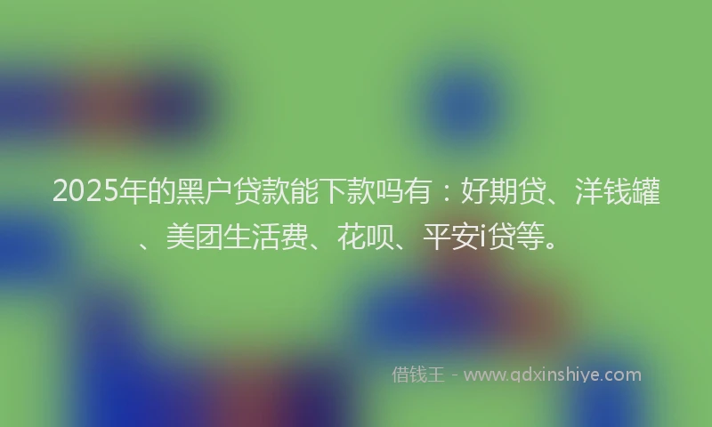 2025年的黑户贷款能下款吗有：好期贷、洋钱罐、美团生活费、花呗、平安i贷等。