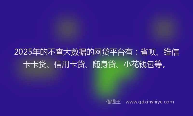 2025年的不查大数据的网贷平台有：省呗、维信卡卡贷、信用卡贷、随身贷、小花钱包等。