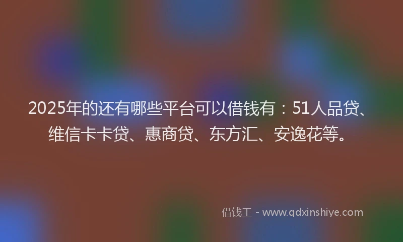 2025年的还有哪些平台可以借钱有：51人品贷、维信卡卡贷、惠商贷、东方汇、安逸花等。