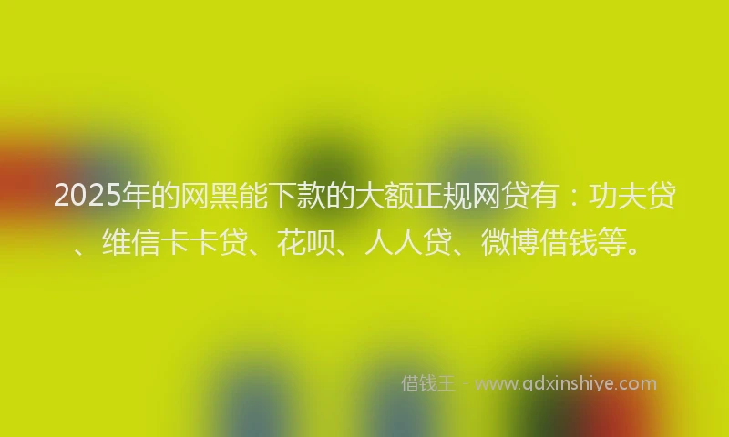 2025年的网黑能下款的大额正规网贷有：功夫贷、维信卡卡贷、花呗、人人贷、微博借钱等。