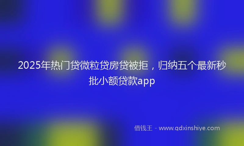 2025年热门贷微粒贷房贷被拒，归纳五个最新秒批小额贷款app