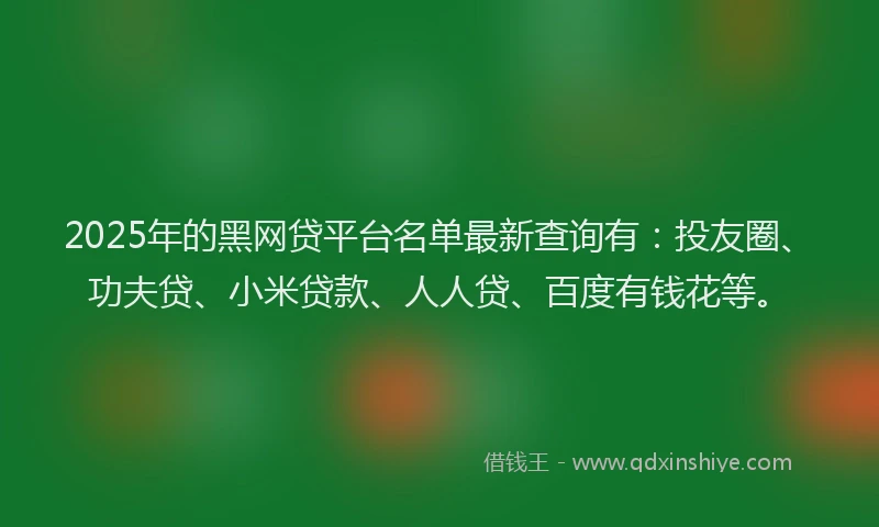 2025年的黑网贷平台名单最新查询有：投友圈、功夫贷、小米贷款、人人贷、百度有钱花等。