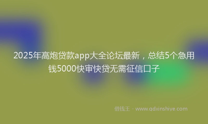 2025年高炮贷款app大全论坛最新，总结5个急用钱5000快审快贷无需征信口子