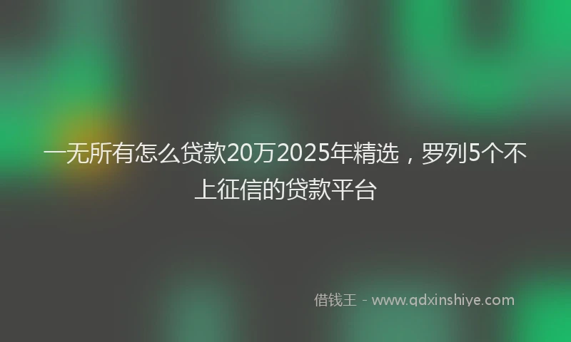 一无所有怎么贷款20万2025年精选，罗列5个不上征信的贷款平台