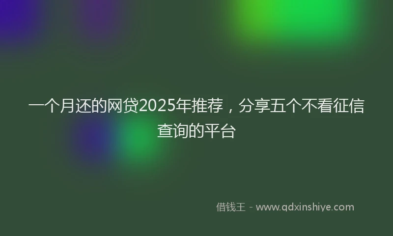 一个月还的网贷2025年推荐，分享五个不看征信查询的平台