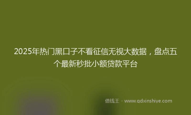 2025年热门黑口子不看征信无视大数据，盘点五个最新秒批小额贷款平台