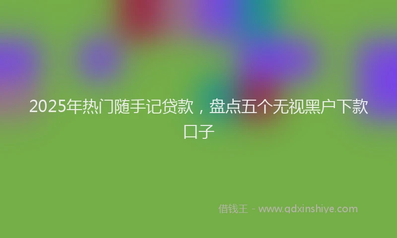 2025年热门随手记贷款，盘点五个无视黑户下款口子