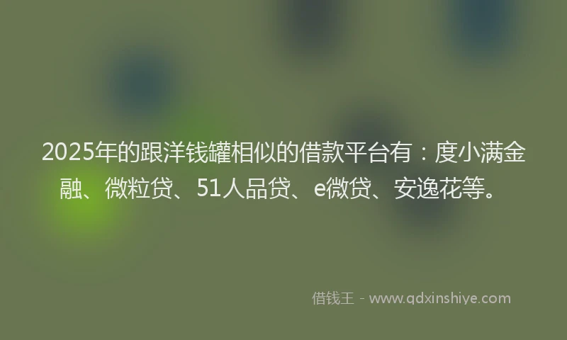 2025年的跟洋钱罐相似的借款平台有：度小满金融、微粒贷、51人品贷、e微贷、安逸花等。