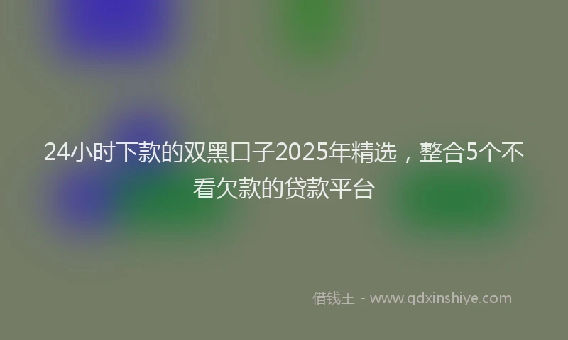24小时下款的双黑口子2025年精选，整合5个不看欠款的贷款平台