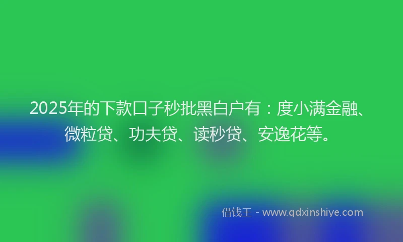 2025年的下款口子秒批黑白户有：度小满金融、微粒贷、功夫贷、读秒贷、安逸花等。