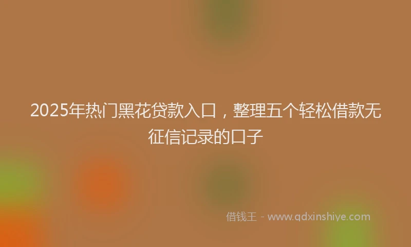2025年热门黑花贷款入口，整理五个轻松借款无征信记录的口子