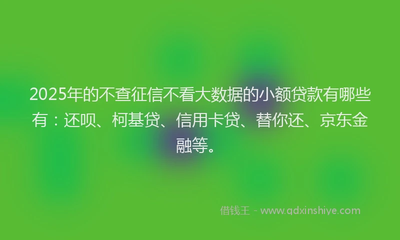 2025年的不查征信不看大数据的小额贷款有哪些有：还呗、柯基贷、信用卡贷、替你还、京东金融等。